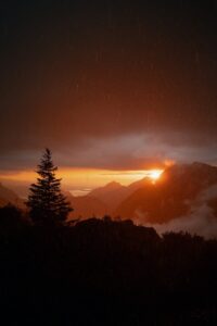 Sunset over misty mountains with a lone tree.