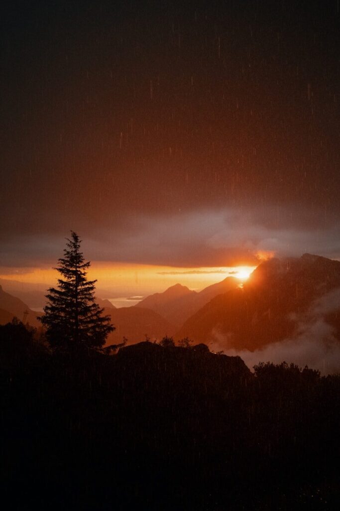 Sunset over misty mountains with a lone tree.